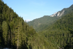 ausztria645