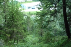 ausztria647