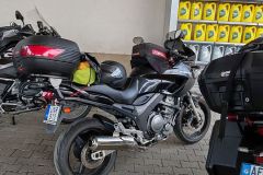 IMG_20240531_085934