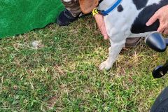 IMG_20240531_175655