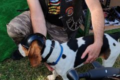 IMG_20240531_175658