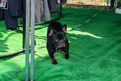IMG_20240531_175706