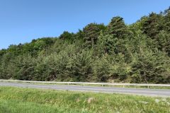 IMG_20240621_075332