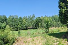 IMG_20240621_101015