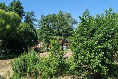 IMG_20240621_101018