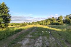 IMG_20240622_194135
