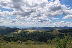 IMG_20240805_125229