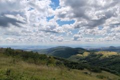 IMG_20240805_125236