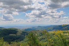 IMG_20240805_125811